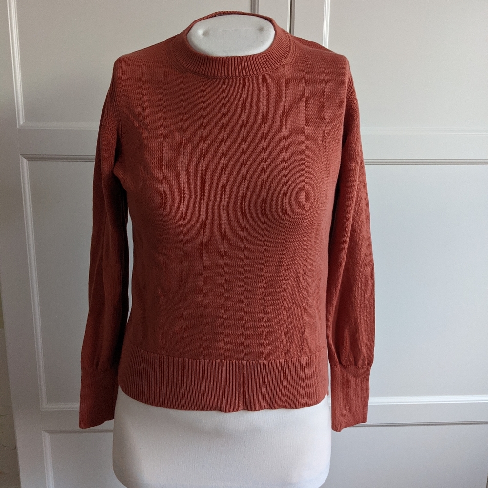 Everlane cotton crew sweater - clay - xs